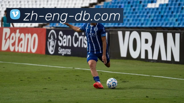 DB真人官网平台生态图