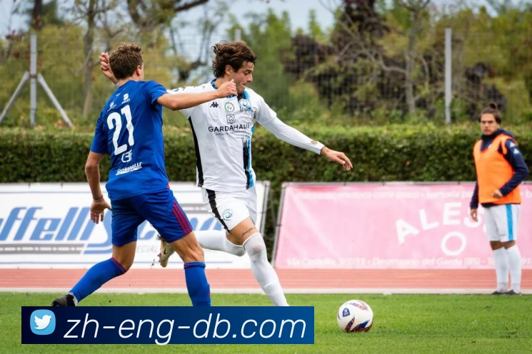 DB真人官网APP 封面图